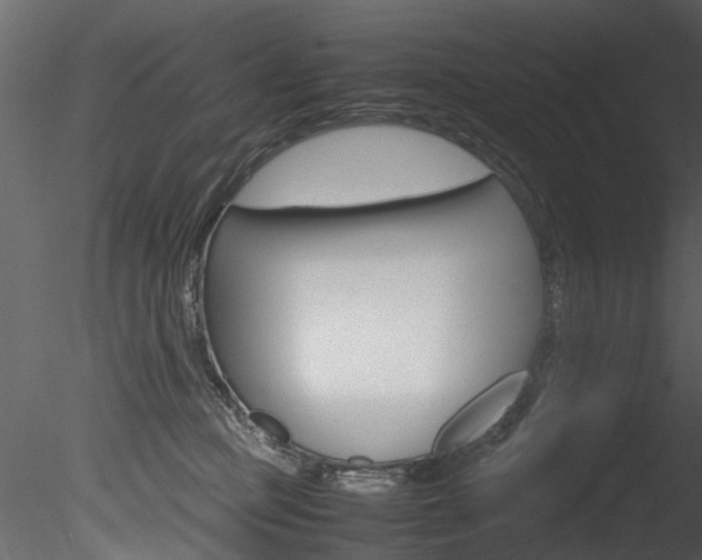 X0000085780373200703161006