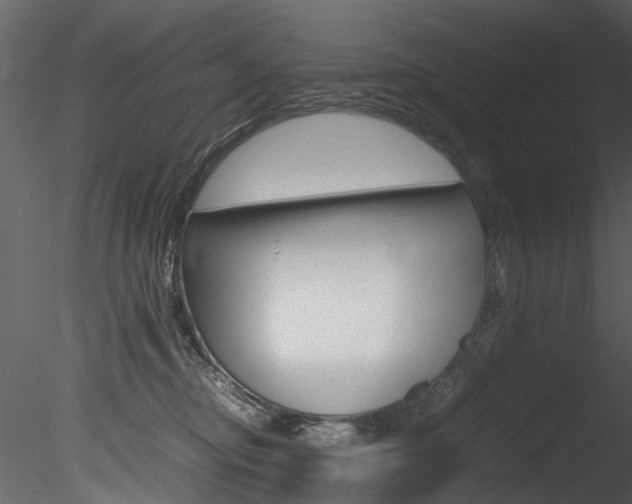 X0000085780374200703161006