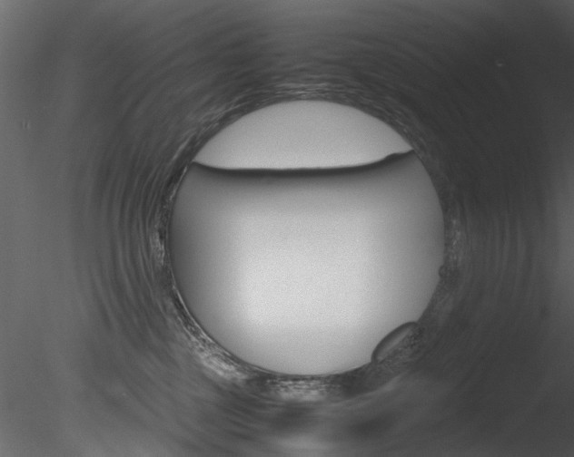 X0000085780377200703161006