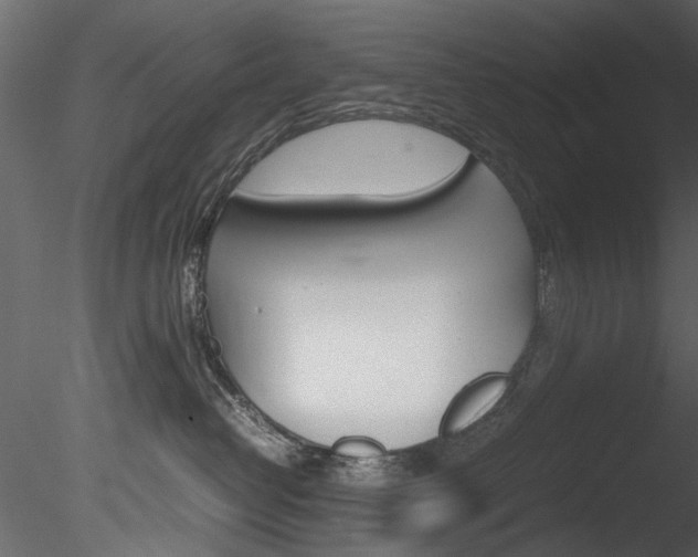 X0000085780382200703161006