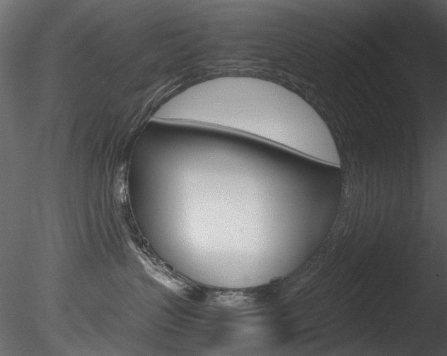 X0000085780383200703161006