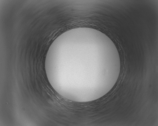 X0000085780384200703161006