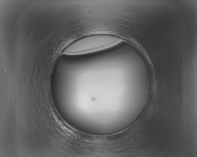 X0000085780385200703161005