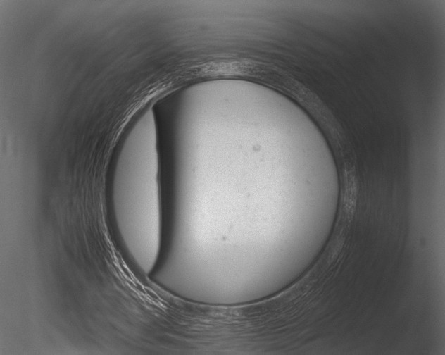X0000085780386200703161005