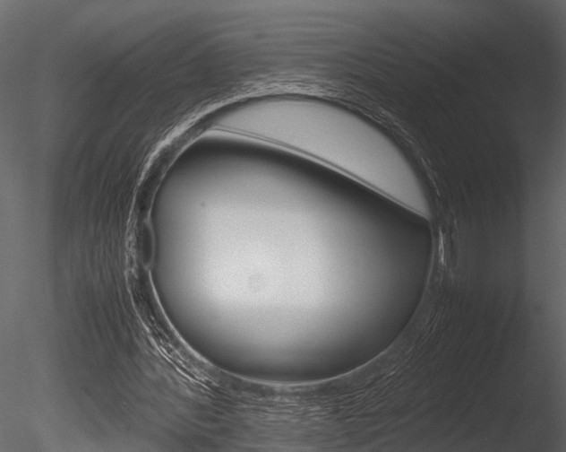 X0000085780388200703161005