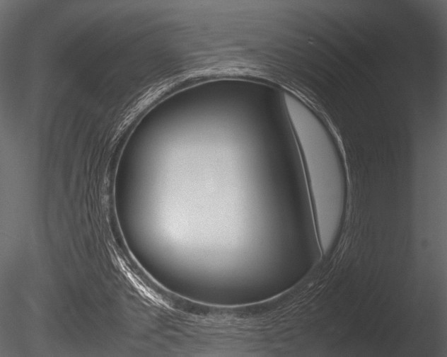 X0000085780389200703161005