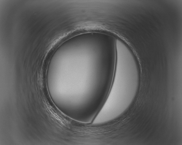 X0000085780391200703161005