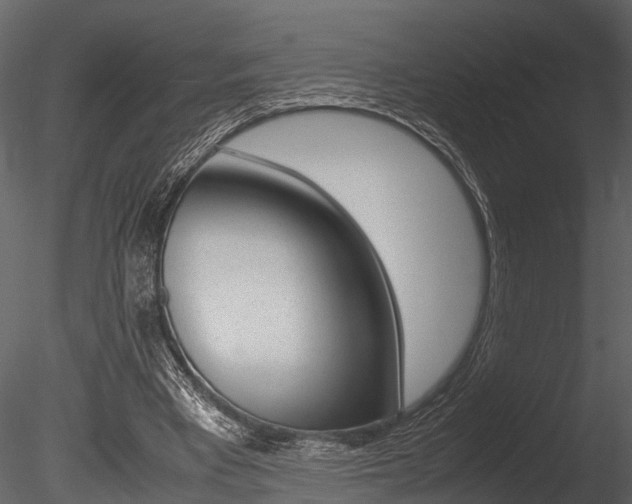 X0000085780393200703161005