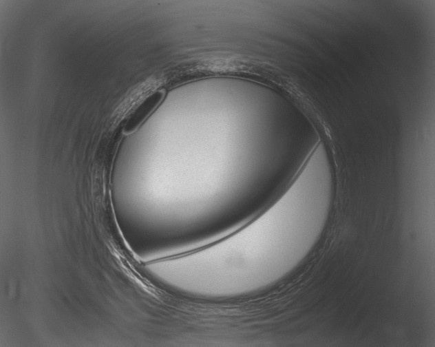 X0000085780397200703161005