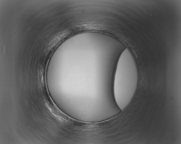 X0000085780398200703161005
