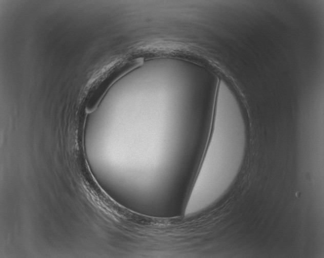 X0000085780399200703161005