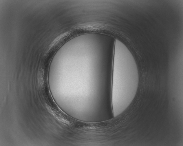 X0000085780400200703161005