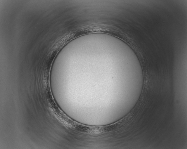 X0000085780402200703161005