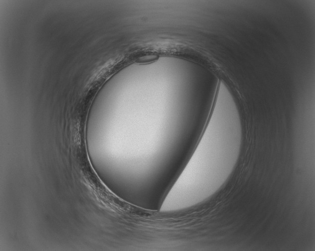 X0000085780403200703161005