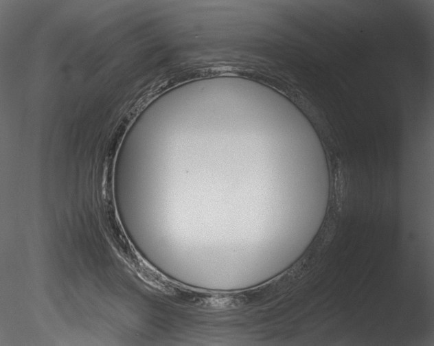 X0000085780406200703161005