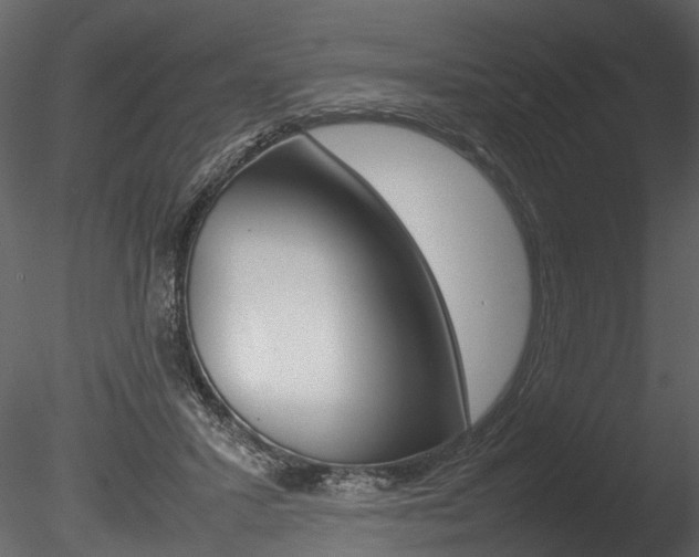 X0000085780407200703161005