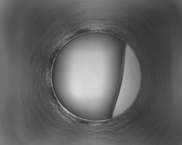 X0000085780411200703161005