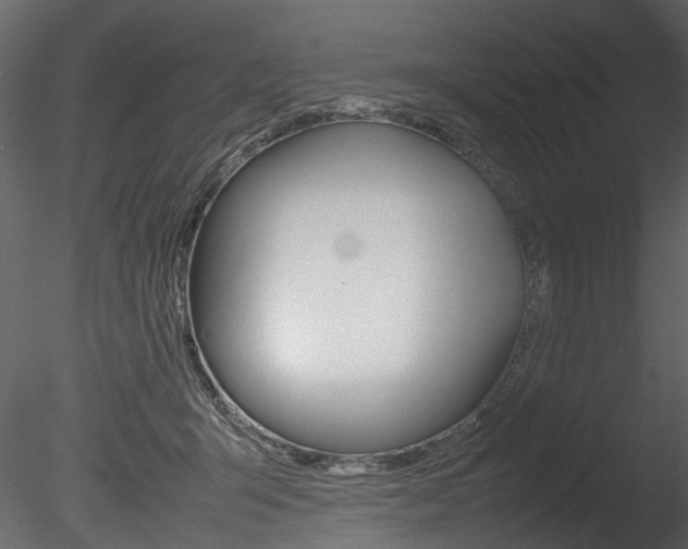 X0000085780415200703161005