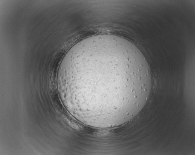 X0000085780418200703161005