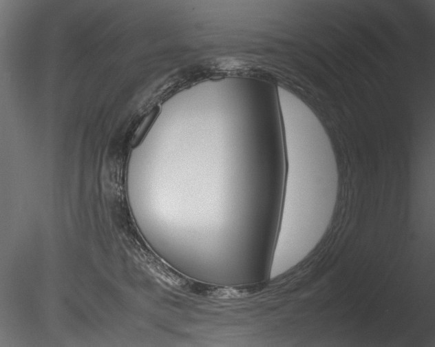 X0000085780421200703161005