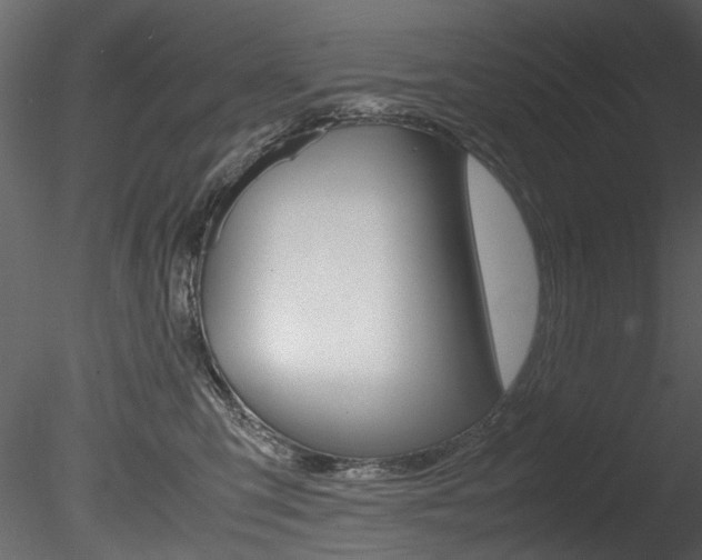 X0000085780423200703161005