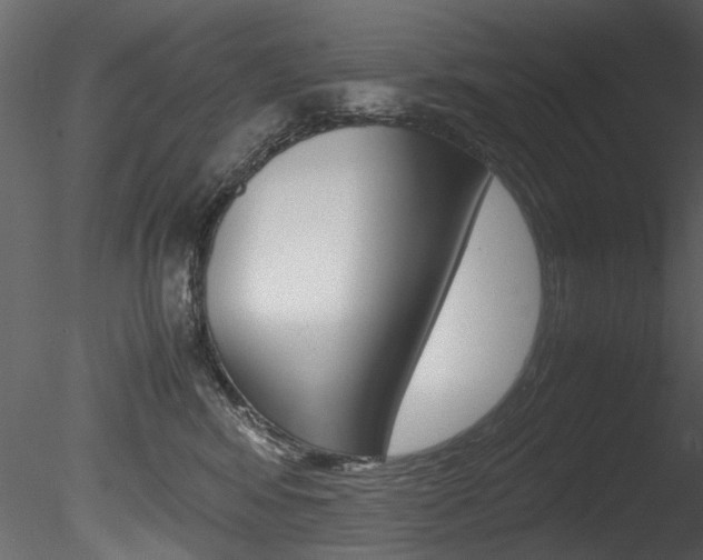 X0000085780424200703161005
