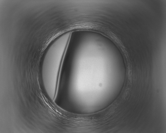 X0000085780434200703161004