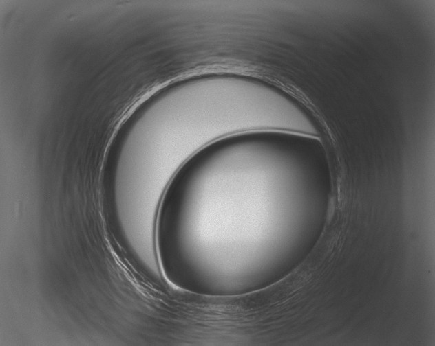 X0000085780436200703161004