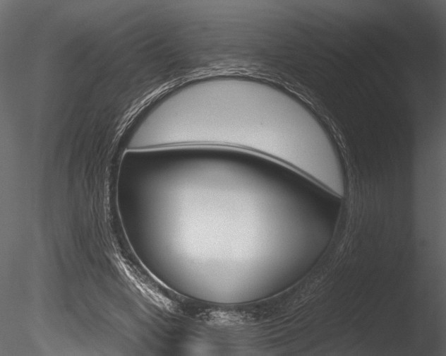 X0000085780442200703161004