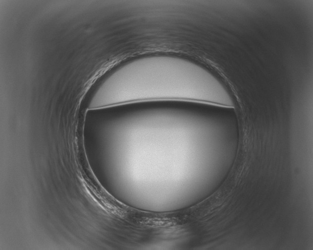 X0000085780443200703161004