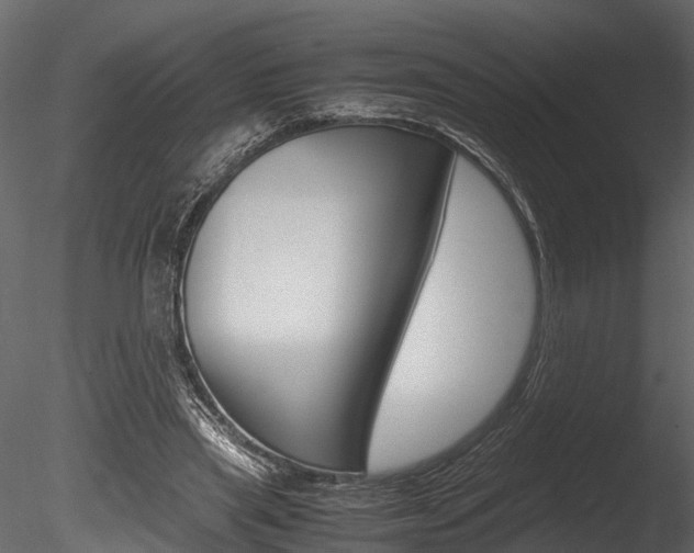 X0000085780445200703161004