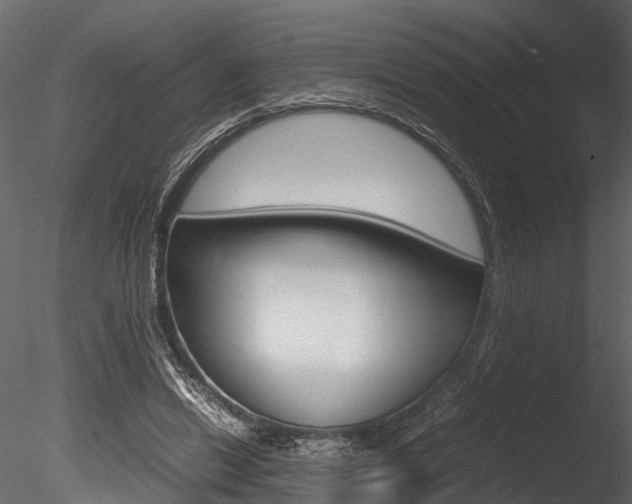 X0000085780446200703161004