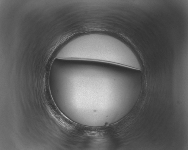 X0000085780447200703161004