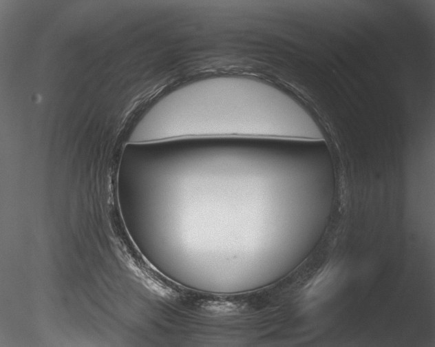X0000085780453200703161004