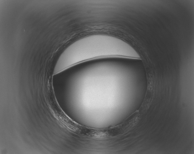 X0000085780456200703161004