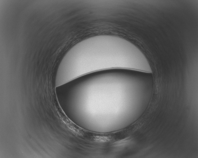 X0000085780457200703161004