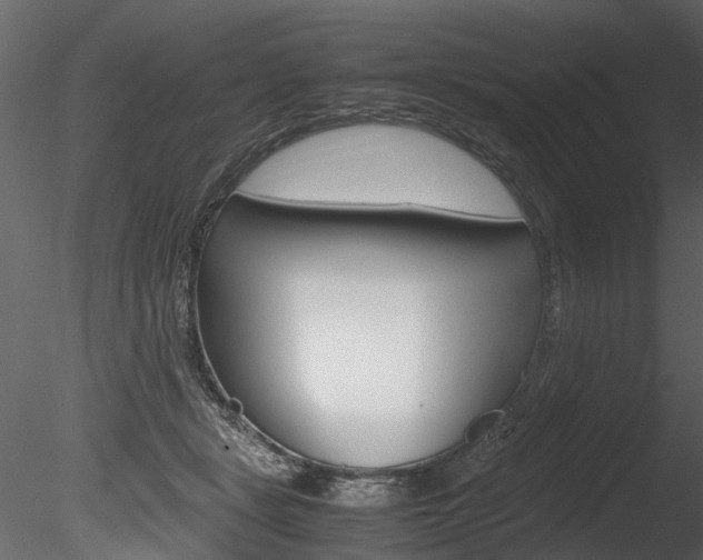 X0000085780461200703161004