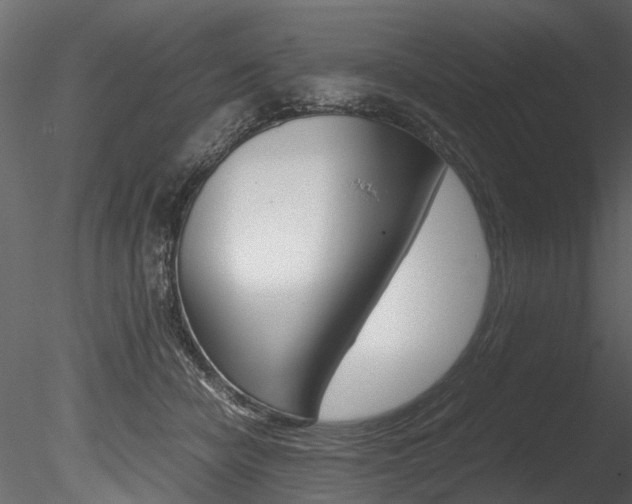 X0000085780462200703161004