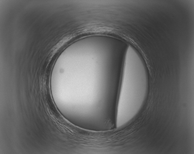 X0000085780483200703161003