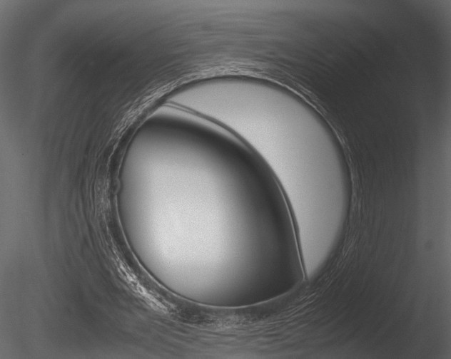 X0000085780485200703161003