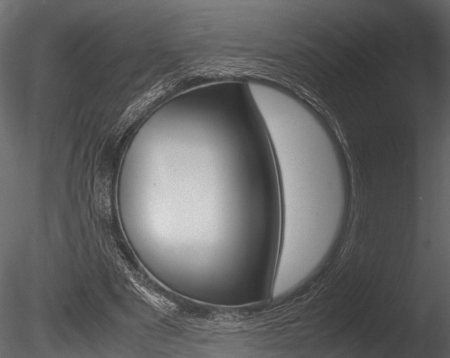 X0000085780489200703161003