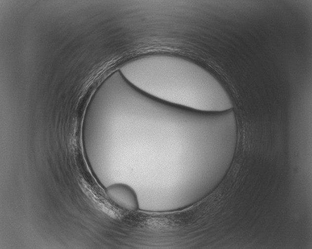 X0000085780490200703161003