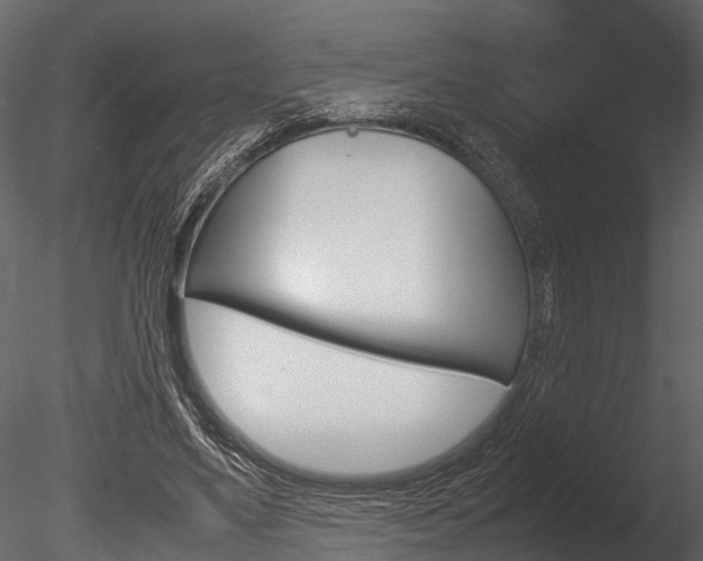 X0000085780491200703161003