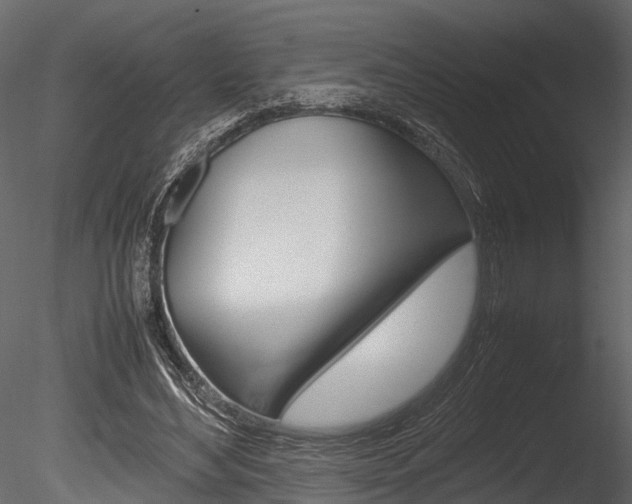 X0000085780492200703161003