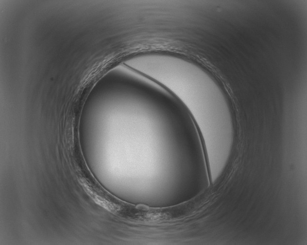 X0000085780493200703161003