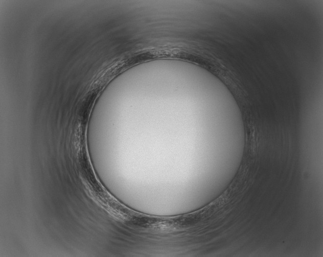 X0000085780498200703161003