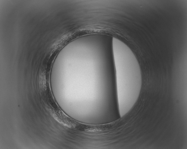 X0000085780500200703161003
