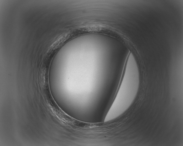 X0000085780501200703161003