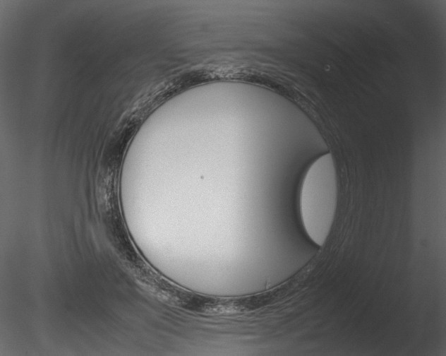 X0000085780503200703161003