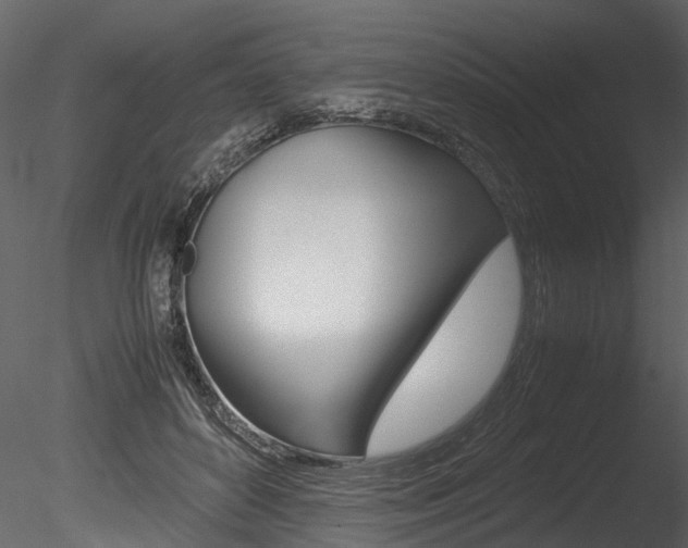 X0000085780504200703161003